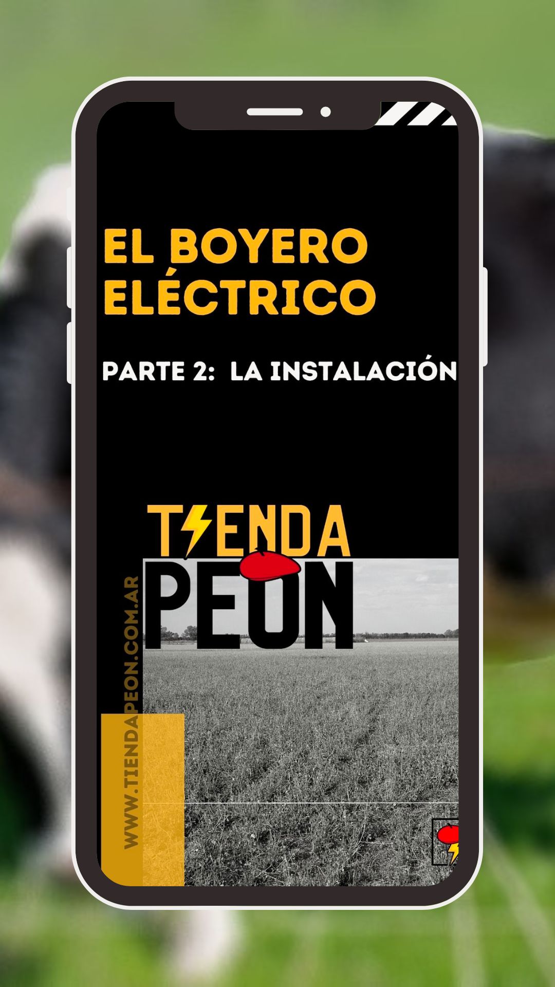 Manual de instalación de boyero eléctrico.